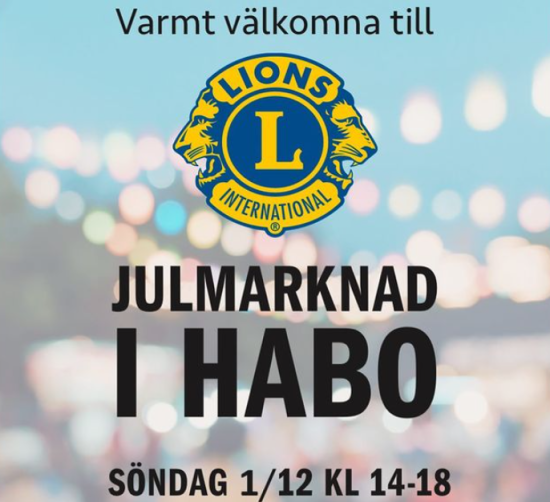 julmarknad_2024.png