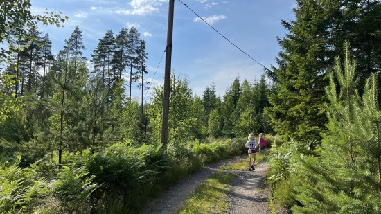 Elljusspår Furusjö.