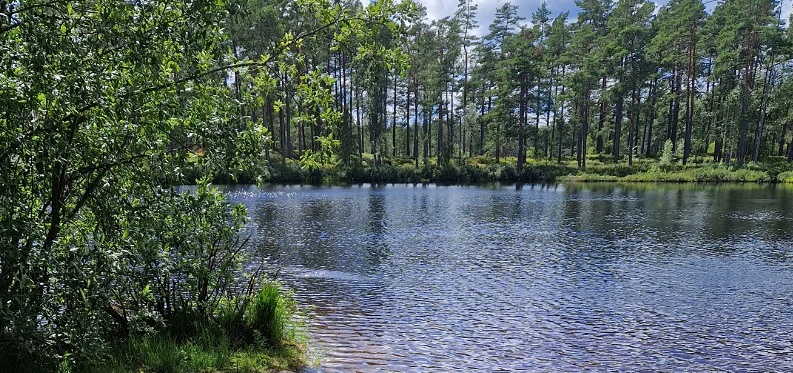 Friluftsområde Fagerhult.
