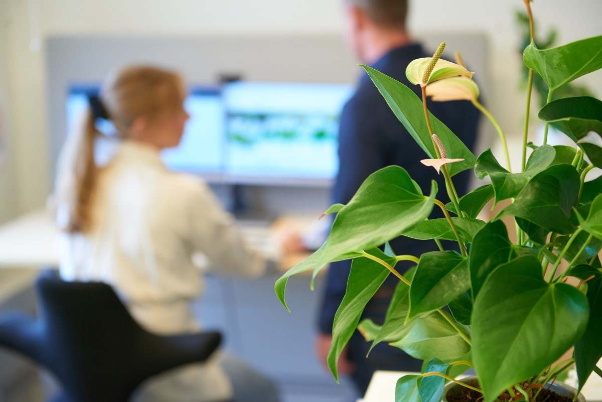 En kvinna och en man står vid datorn.