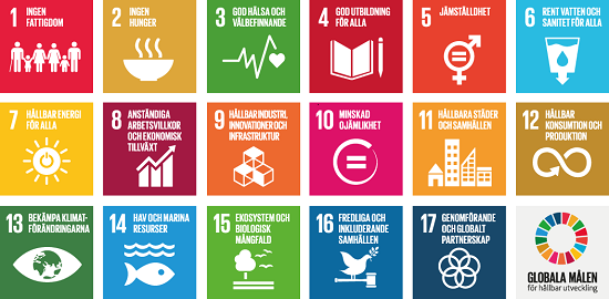 De 17 globala målen för hållbar utveckling i Agenda 2030.