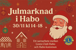 Julmarknad i Habo