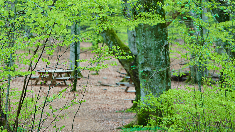 Naturreservat.